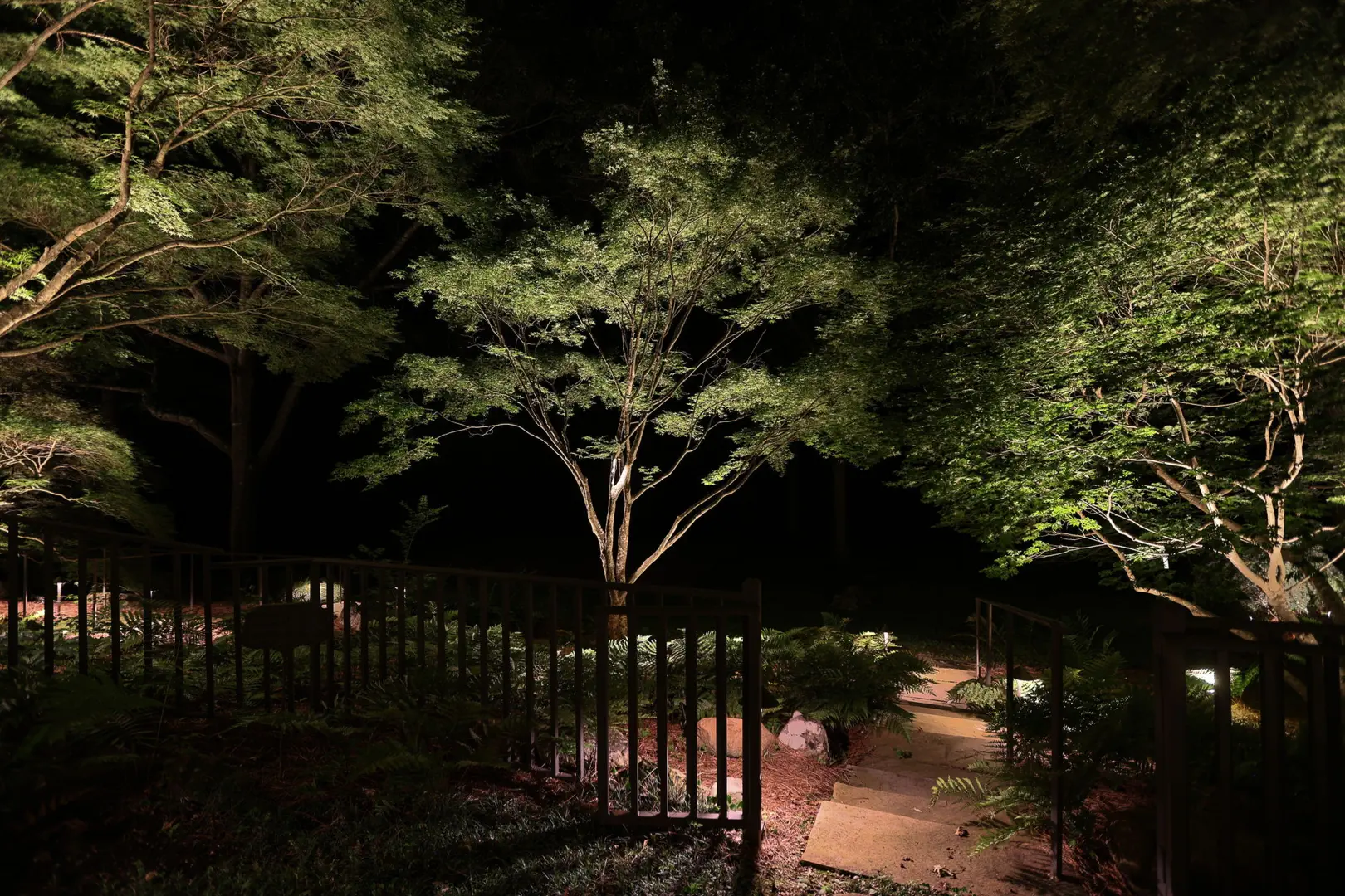 Tree Lighting Installation in GA